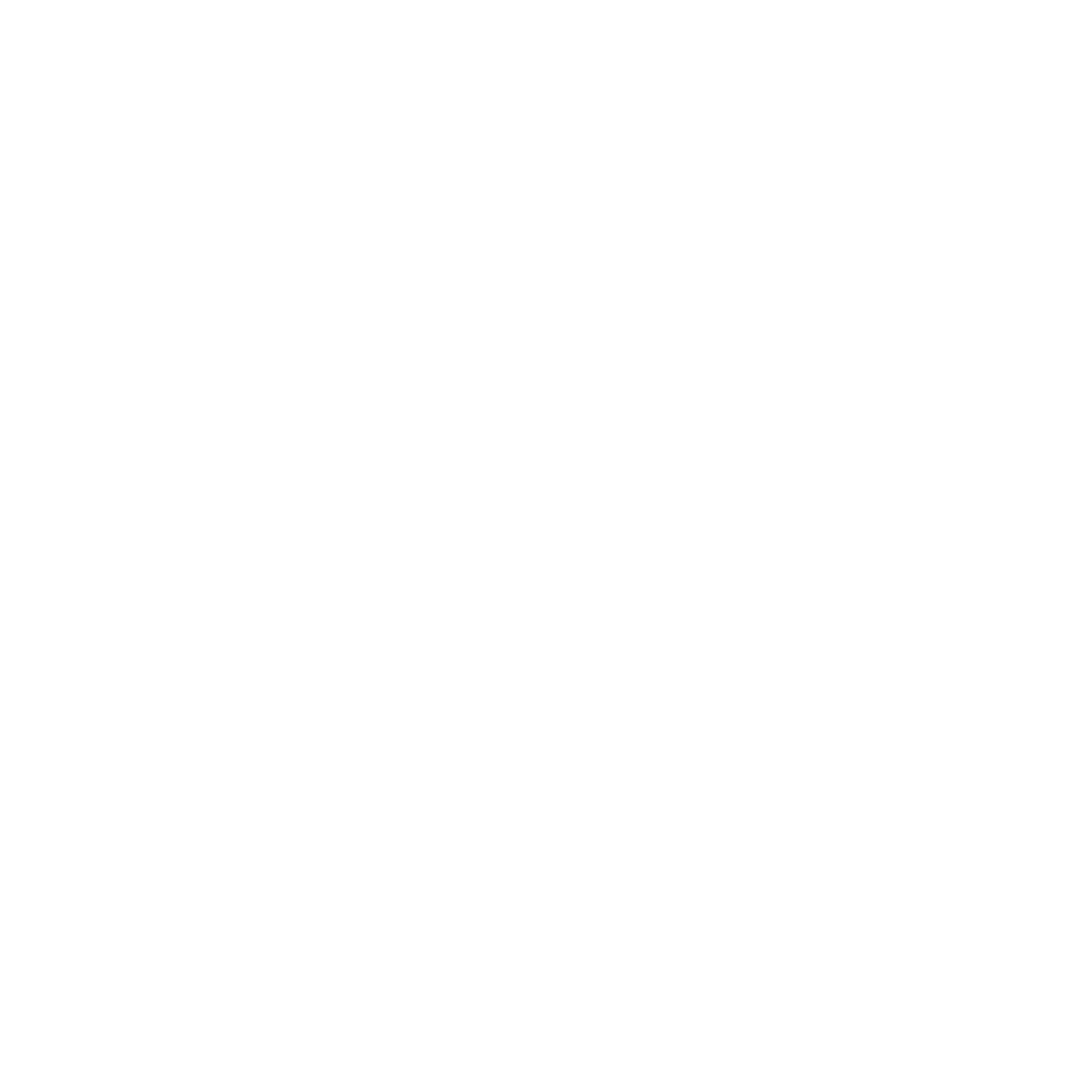fvnet